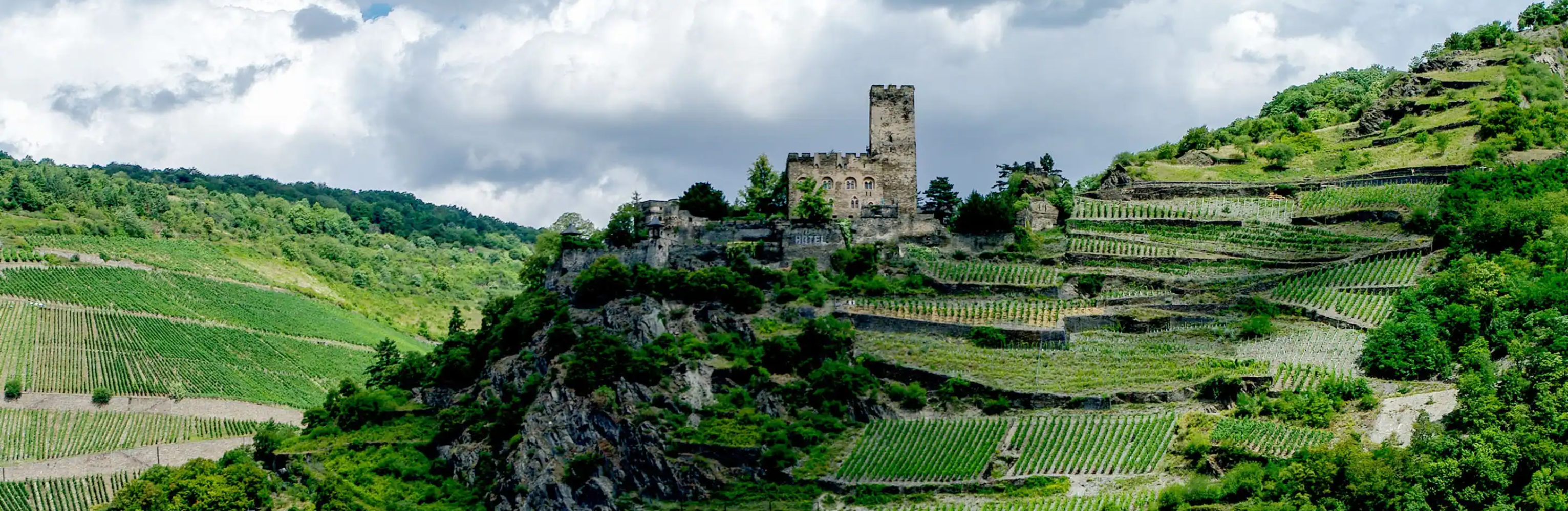Enchanting Rhine